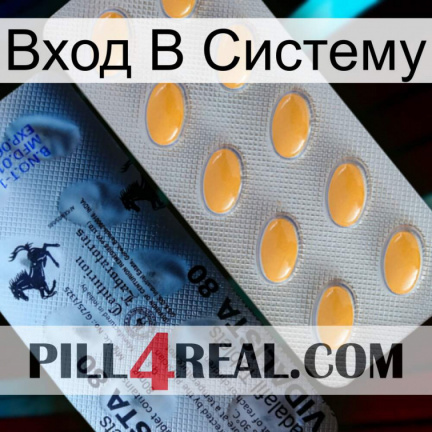 Вход В Систему 44